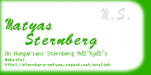 matyas sternberg business card